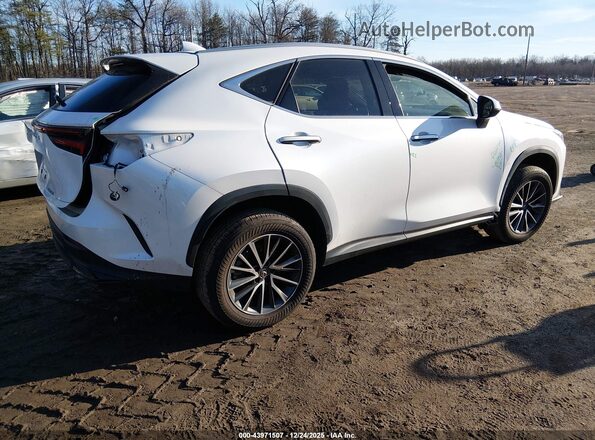 JTJADCAZ4R2008446 2024 LEXUS NX 250 White Trasero derecho