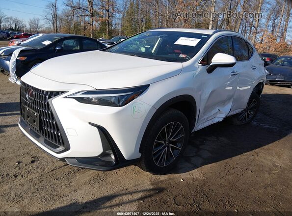 JTJADCAZ4R2008446 2024 LEXUS NX 250 White Vista tres cuartos delantera izquierda