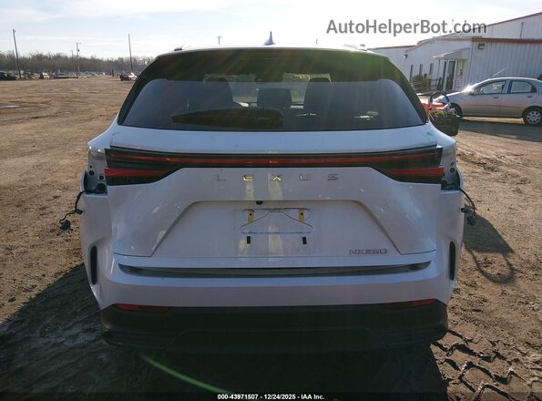JTJADCAZ4R2008446 2024 LEXUS NX 250 White 