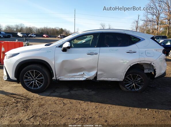 JTJADCAZ4R2008446 2024 LEXUS NX 250 White 