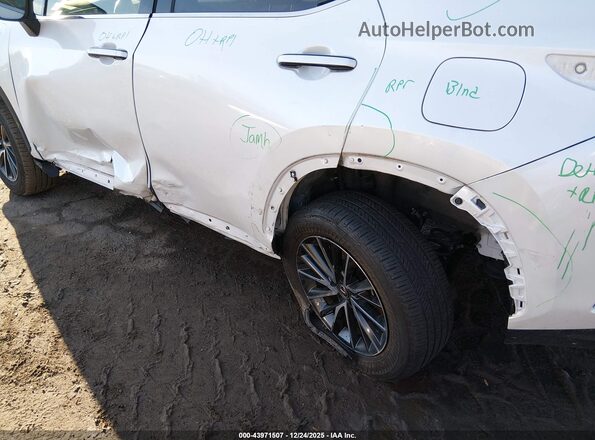 JTJADCAZ4R2008446 2024 LEXUS NX 250 White Vista frontal