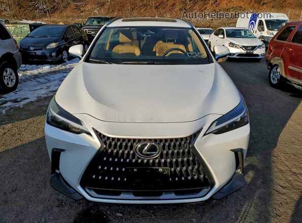 JTJAGCEZ5S2020175 2025 LEXUS NX White Դիմացի տեսք