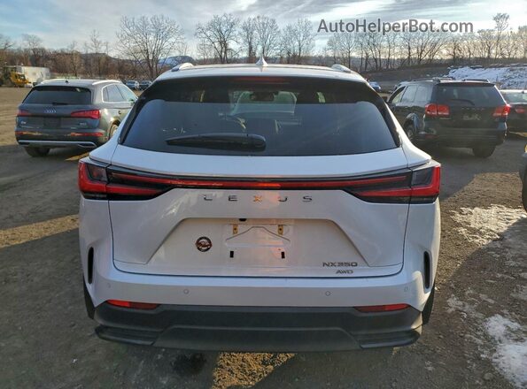 JTJAGCEZ5S2020175 2025 LEXUS NX White Հետևի տեսք