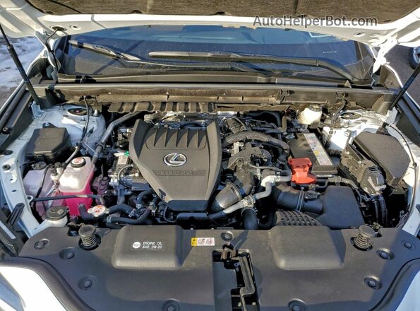 JTJAGCEZ5S2020175 2025 LEXUS NX White Շարժիչի բաժամունքի տեսք