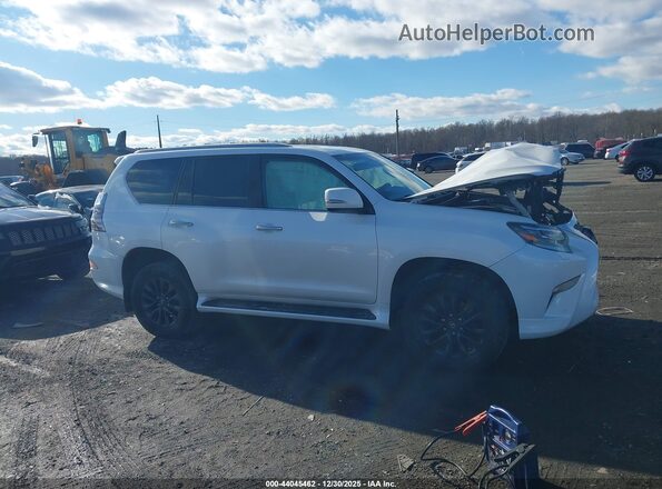 JTJAM7BX0L5257448 2020 LEXUS GX White Սալոնի հետևի տեսք