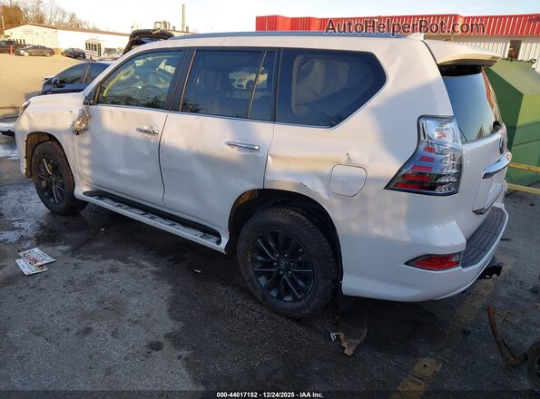 JTJAM7BX3L5256276 2020 LEXUS GX 460 Beige Tył lewy