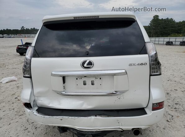 JTJAM7BX3P5369084 2023 LEXUS GX White უკანა ხედი