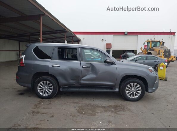 JTJAM7BX4P5377419 2023 LEXUS GX 460 Gray Սալոնի հետևի տեսք