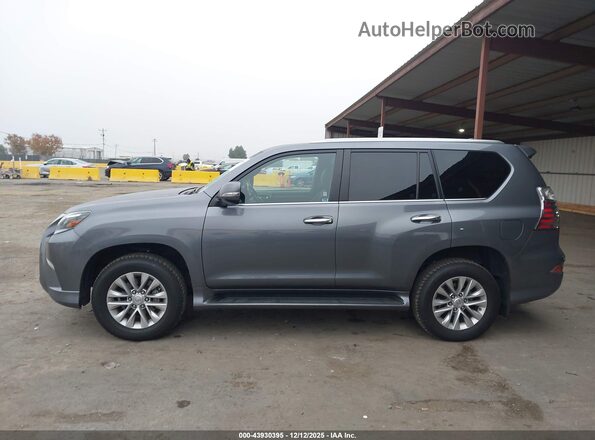 JTJAM7BX4P5377419 2023 LEXUS GX 460 Gray Սալոնի 360 աստիճան տեսք