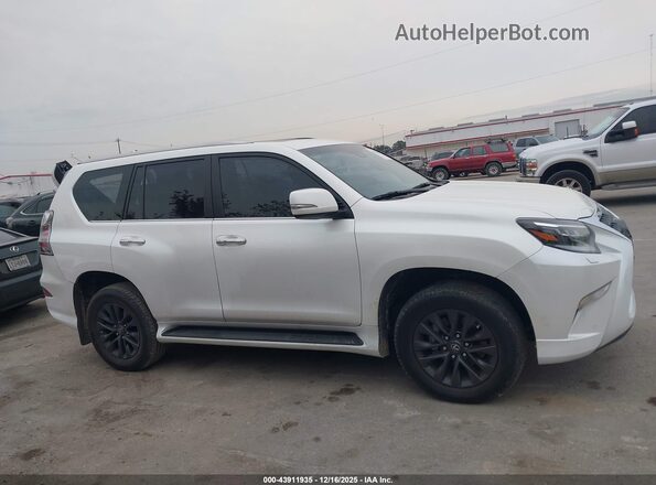 JTJAM7BX6P5372707 2023 LEXUS GX 460 White Vista interior trasera