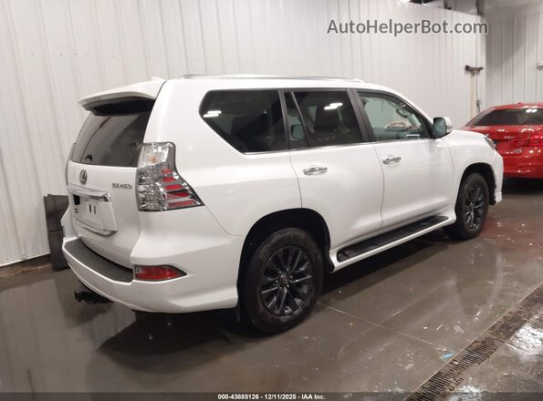 JTJAM7BX7M5294966 2021 LEXUS GX 460 White Tył prawy
