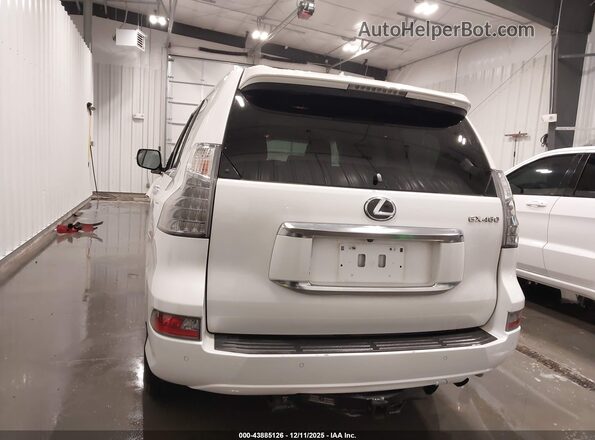 JTJAM7BX7M5294966 2021 LEXUS GX 460 White 