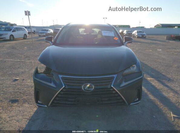 JTJBARBZ0K2203268 2019 LEXUS NX 300 Black Rear interior view