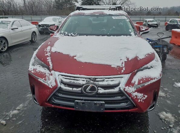 JTJBARBZ6G2065422 2016 LEXUS NX Бордовый Вид спереди
