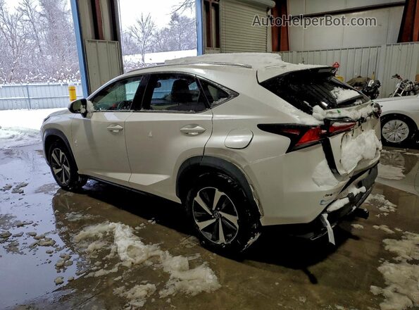 JTJBARBZ8J2157672 2018 LEXUS NX White 