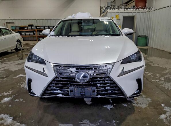JTJBARBZ8J2157672 2018 LEXUS NX White 