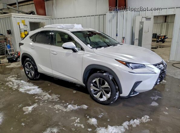 JTJBARBZ8J2157672 2018 LEXUS NX White 