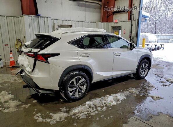 JTJBARBZ8J2157672 2018 LEXUS NX White 