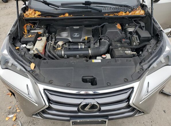 JTJBARBZ9G2056441 2016 LEXUS NX Silver Widok komory silnika