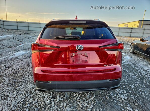 JTJBARBZXJ2168267 2018 LEXUS NX Burgundy 