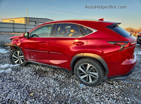JTJBARBZXJ2168267 2018 LEXUS NX Burgundy 