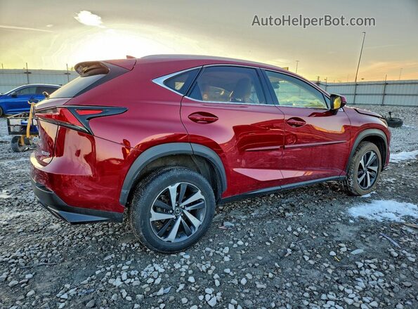 JTJBARBZXJ2168267 2018 LEXUS NX Burgundy 