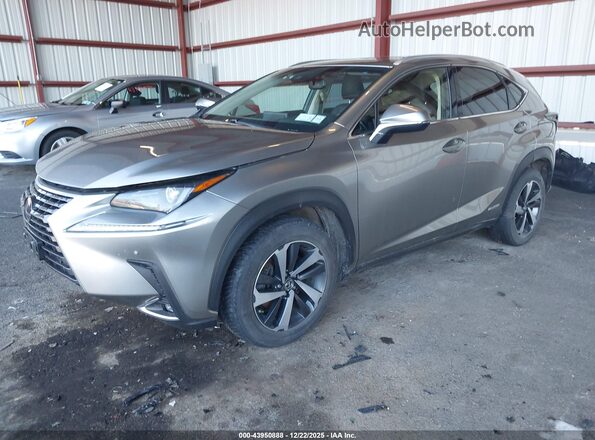 JTJBJRBZ3J2085750 2018 LEXUS NX 300H Gray Przód lewy