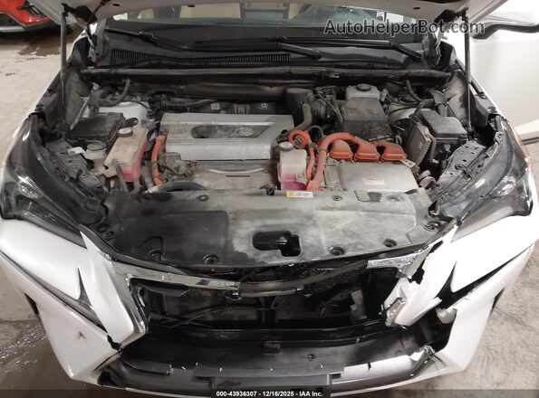 JTJBJRBZ5H2054400 2017 LEXUS NX 300H White Հետևի տեսք