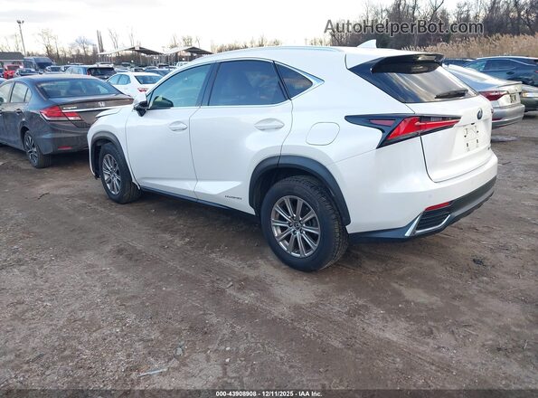 JTJBJRBZ6K2119908 2019 LEXUS NX 300H White Tył lewy