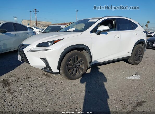 JTJBJRBZ8K2110093 2019 LEXUS NX 300H White Przód lewy