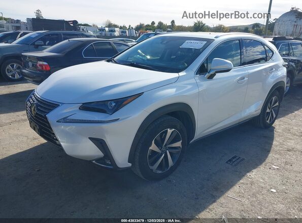JTJBJRBZXK2119362 2019 LEXUS NX 300H Белый Передняя левая четверть