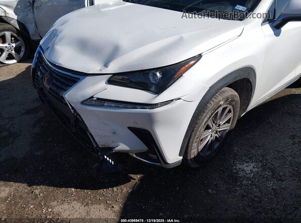 JTJDARBZ1M5029544 2021 LEXUS NX 300 White Вид спереду