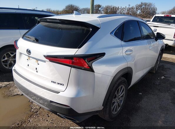 JTJDARBZ1M5029544 2021 LEXUS NX 300 White Задня права чверть