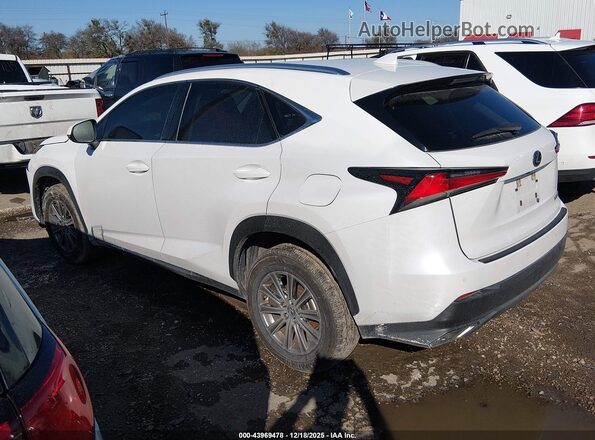 JTJDARBZ1M5029544 2021 LEXUS NX 300 White Задня ліва чверть