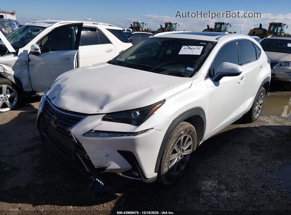 JTJDARBZ1M5029544 2021 LEXUS NX 300 White Передня ліва чверть