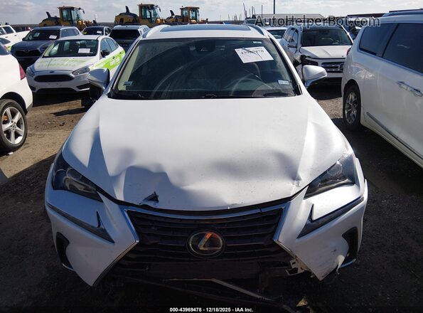 JTJDARBZ1M5029544 2021 LEXUS NX 300 White Вид щитка приладів