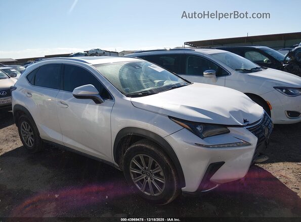 JTJDARBZ1M5029544 2021 LEXUS NX 300 White Вид задньої частини салону