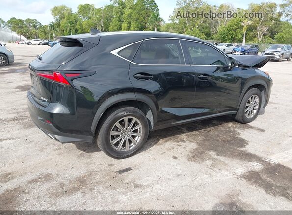 JTJDARBZ4M2193839 2021 LEXUS NX 300 Black Задня права чверть