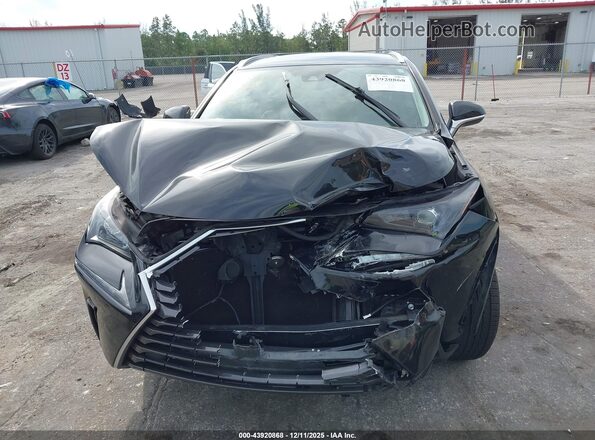 JTJDARBZ4M2193839 2021 LEXUS NX 300 Black Вид спереду