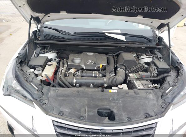 JTJDARBZ4M5032583 2021 LEXUS NX 300 Белый Вид сзади