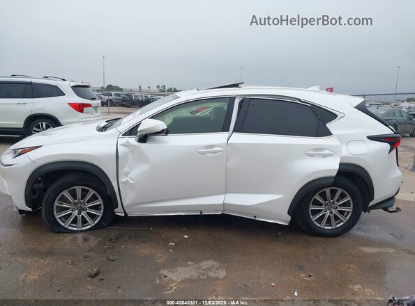 JTJDARBZ4M5032583 2021 LEXUS NX 300 Белый Панорамный вид салона 360°
