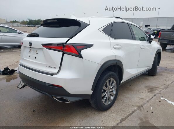 JTJDARBZ4M5032583 2021 LEXUS NX 300 Белый Задняя правая четверть