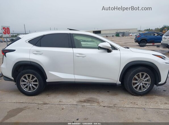 JTJDARBZ4M5032583 2021 LEXUS NX 300 Белый Вид задней части салона