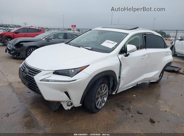 JTJDARBZ4M5032583 2021 LEXUS NX 300 Белый Передняя левая четверть