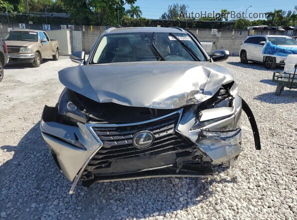 JTJDARBZ5M2199407 2021 LEXUS NX Gray Դիմացի տեսք