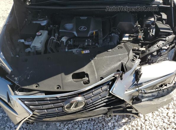 JTJDARBZ5M2199407 2021 LEXUS NX Gray Սալոնի հետևի տեսք