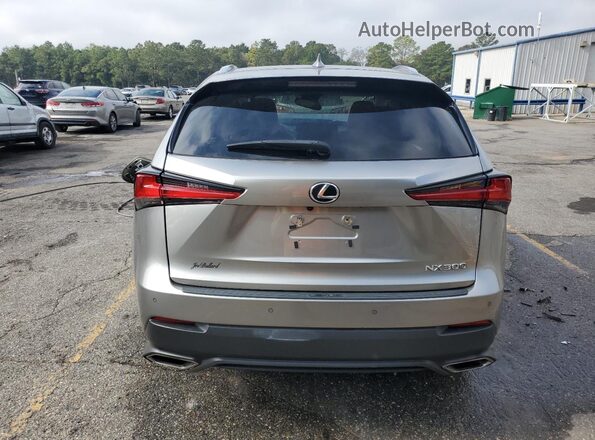 JTJDARBZ7M2196931 2021 LEXUS NX Серебряный Вид сзади