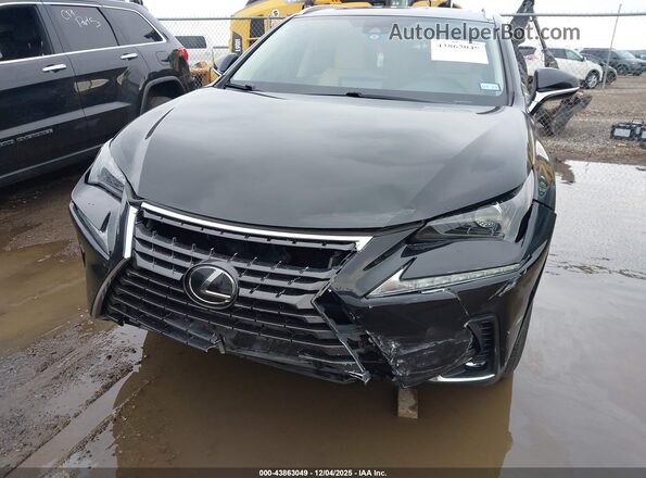 JTJDARBZ9M5032286 2021 LEXUS NX 300 Black 