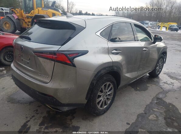 JTJDARDZ2M2237060 2021 LEXUS NX 300 Gray Rear right