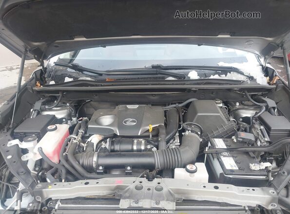 JTJDARDZ2M2237060 2021 LEXUS NX 300 Gray Rear view